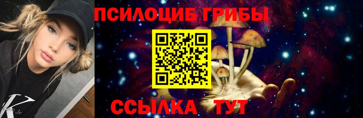 Псилоцибиновые грибы мицелий Советск